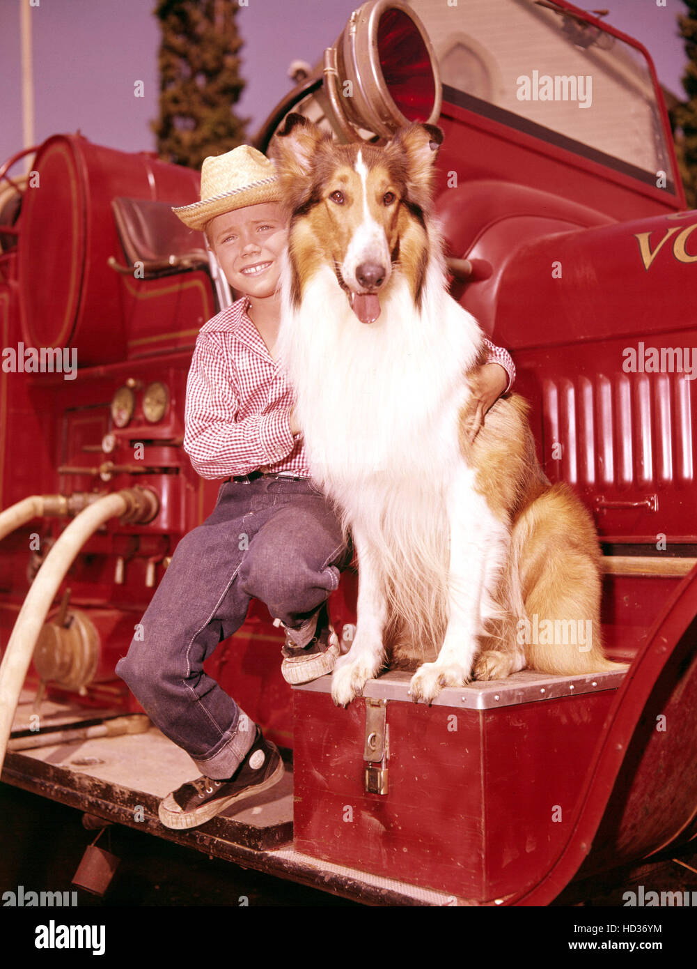 LASSIE, Jon Provost, Lassie, 19541974 Stock Photo Alamy