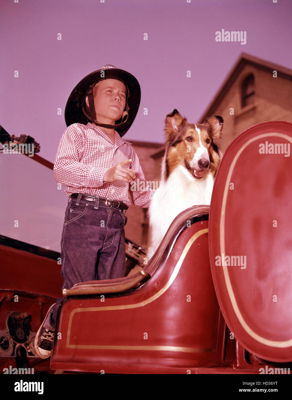 LASSIE, Jon Provost, Lassie, 19541974 Stock Photo Alamy