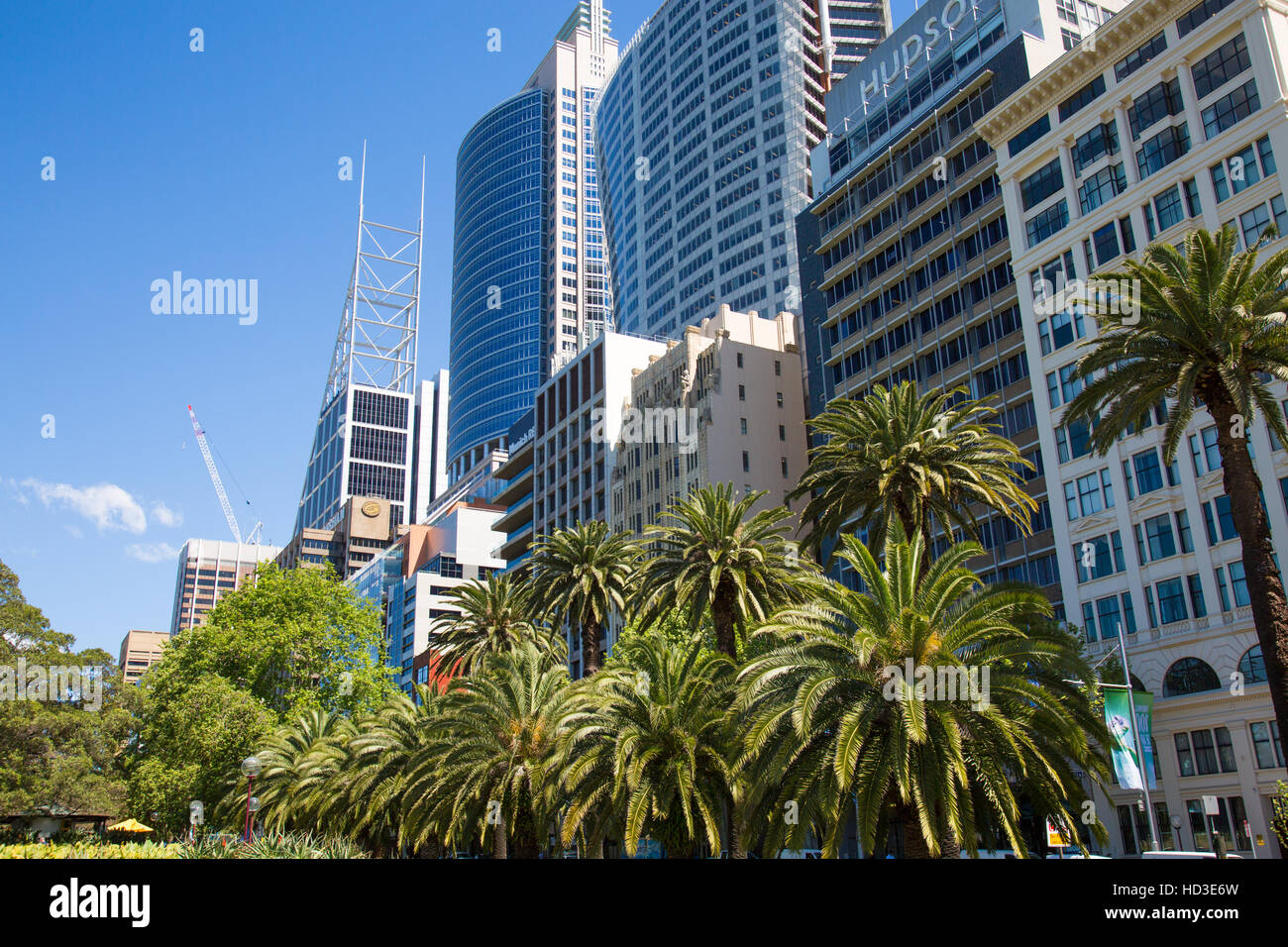 Office buildings including Aurora RBS place and Chifley tower on Macquarie Street in Sydney, New South Wales,Australia Stock Photo