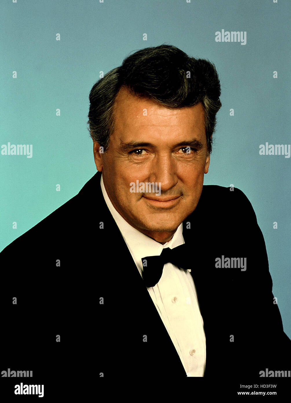 DEVLIN CONNECTION, THE, Rock Hudson, 1982 Stock Photo Alamy