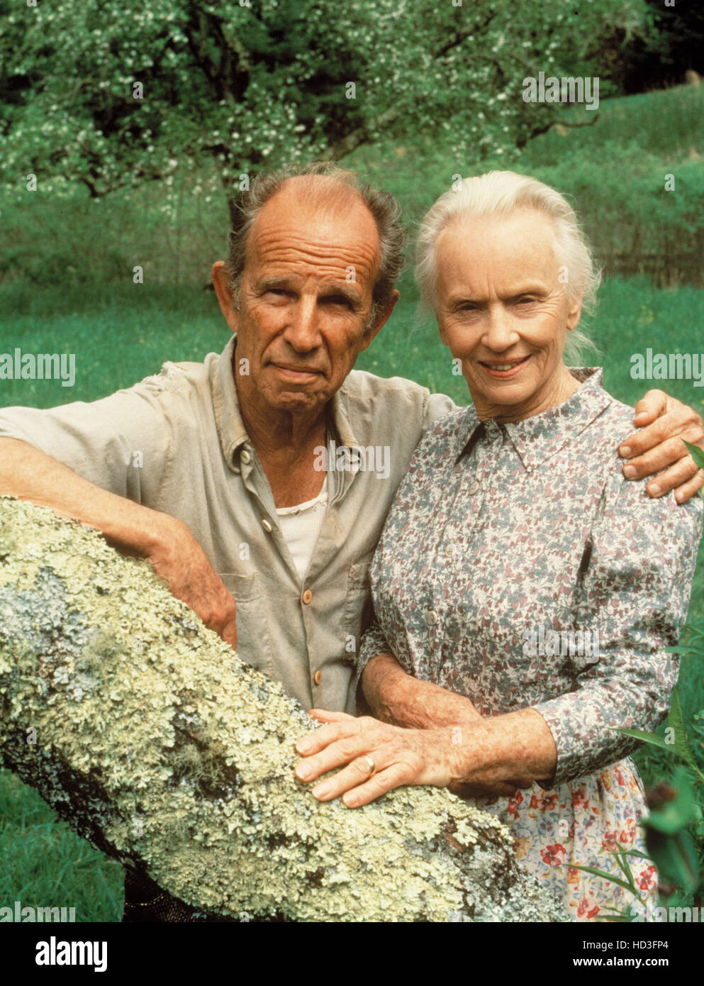 GIN GAME, Hume Cronyn, Jessica Tandy, 1981 Stock Photo Alamy