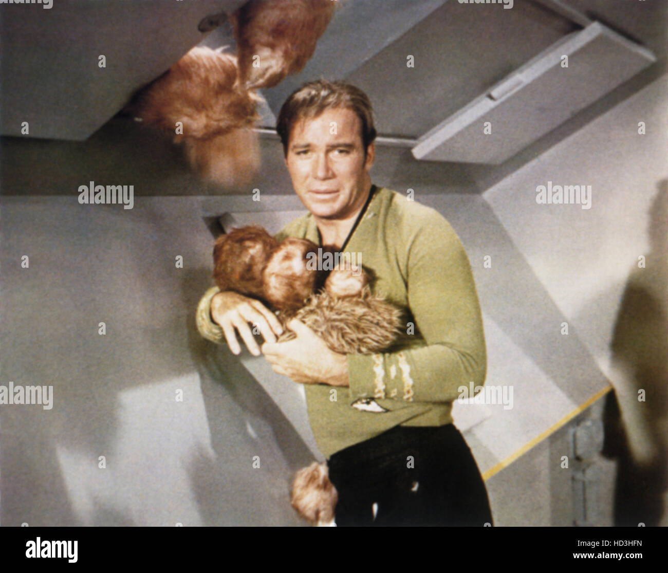 STAR TREK, William Shatner, 'The Trouble With Tribbles', (Season 2 ...