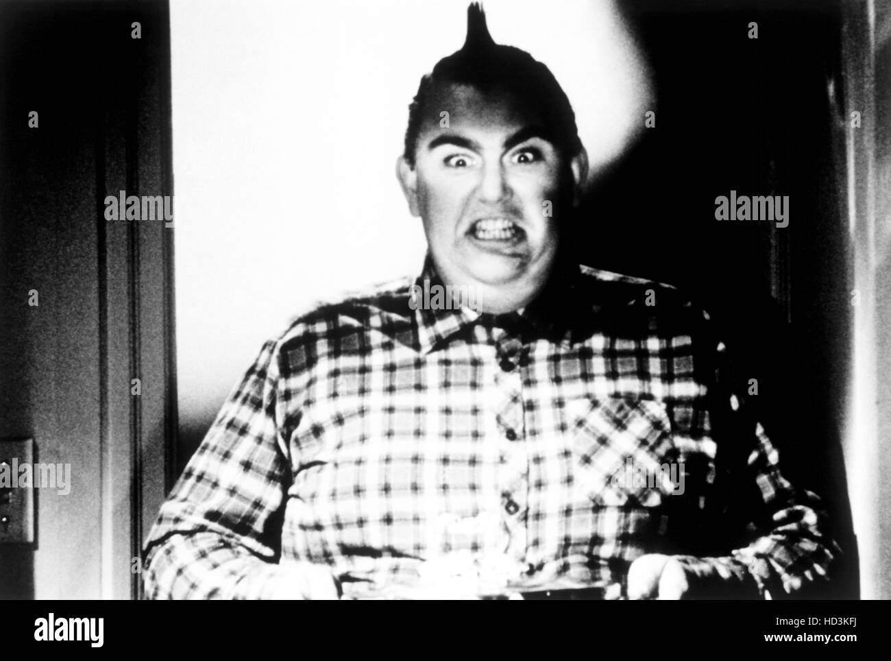 Old Typewriter Photo John Candy Typing Photo Print 8x10