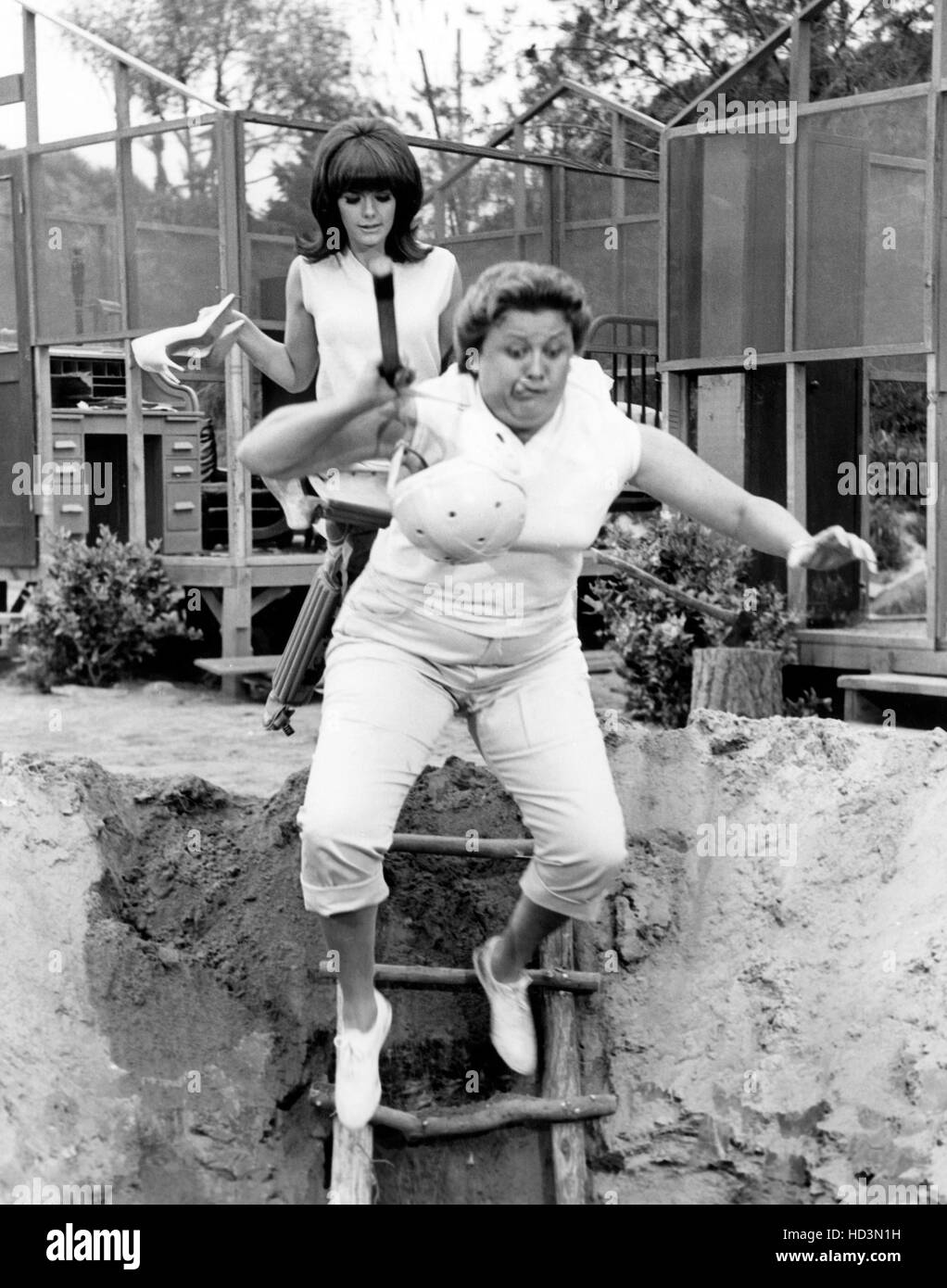 CAMP RUNAMUCK, Nina Wayne, Alice Nunn, 196566 Stock Photo Alamy