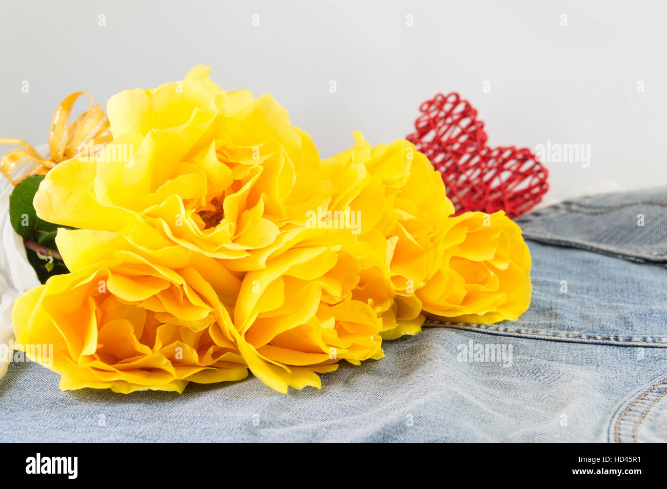Yellow roses in full blossom placed on denim jeans Stock Photo