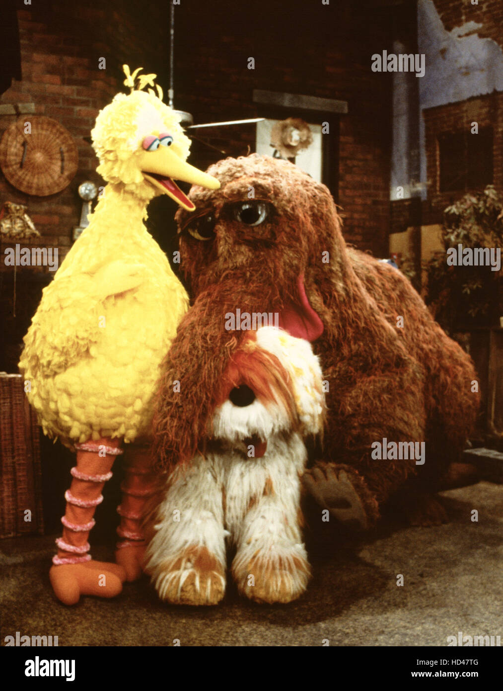 Big dog hotsell on sesame street