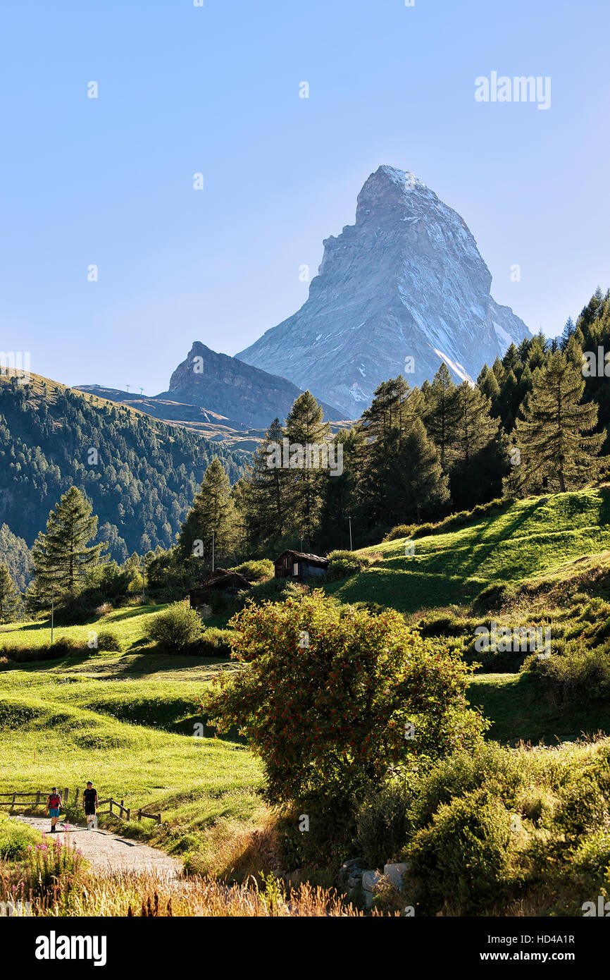 Matterhorn mountain and green valley with traditional Swiss chalet in ...