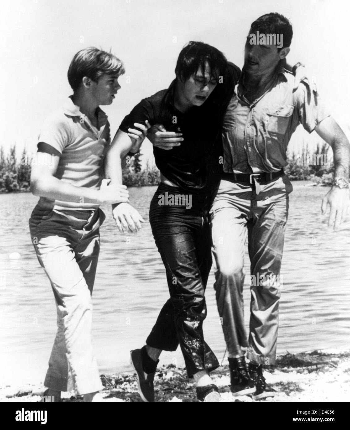 FLIPPER, City Boy, Luke Halpin, Philip Vandervort, Brian Kelly, 1964