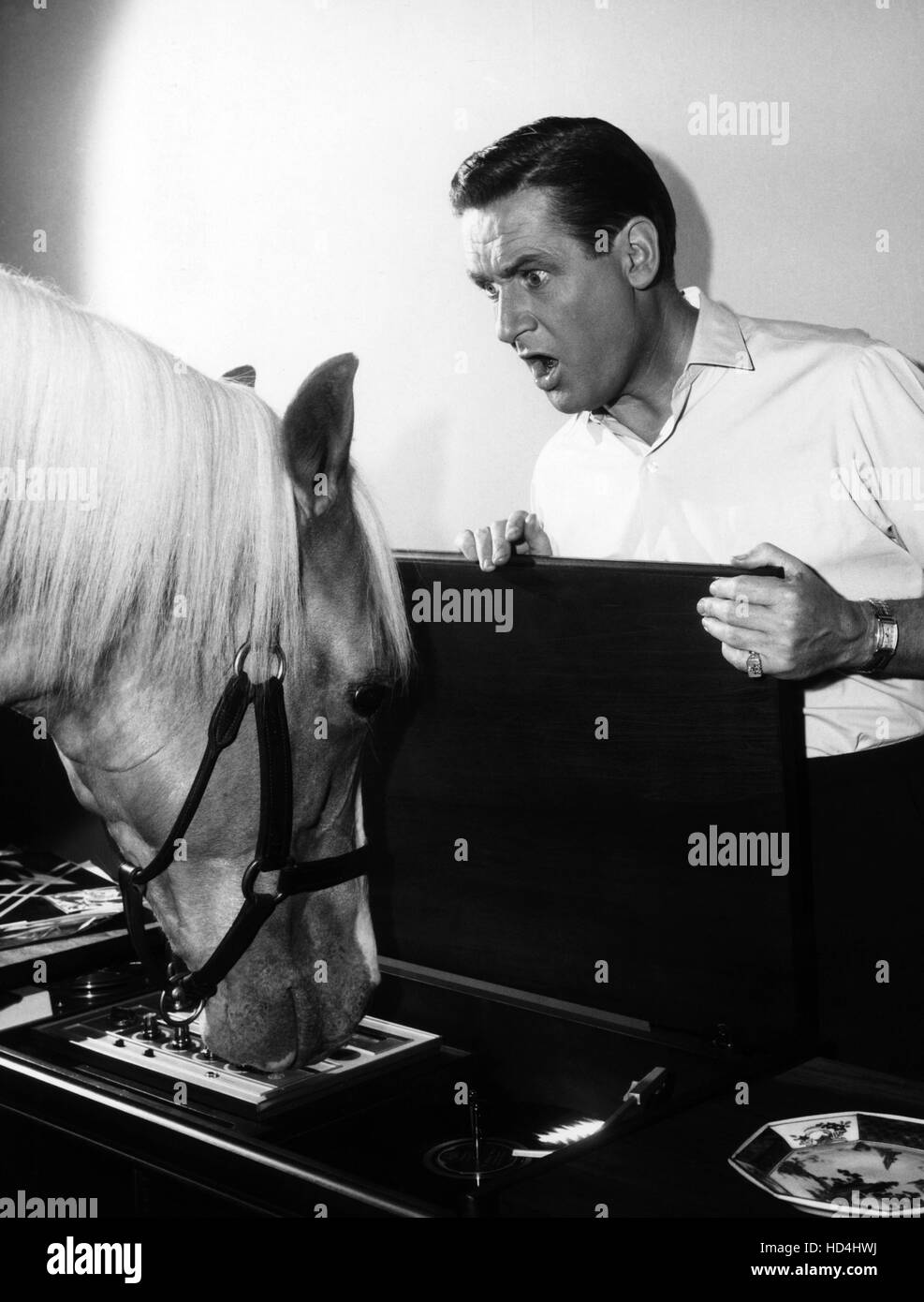 MISTER ED, Mister Ed, Alan Young, 'HiFi Horse', (Season 5, aired