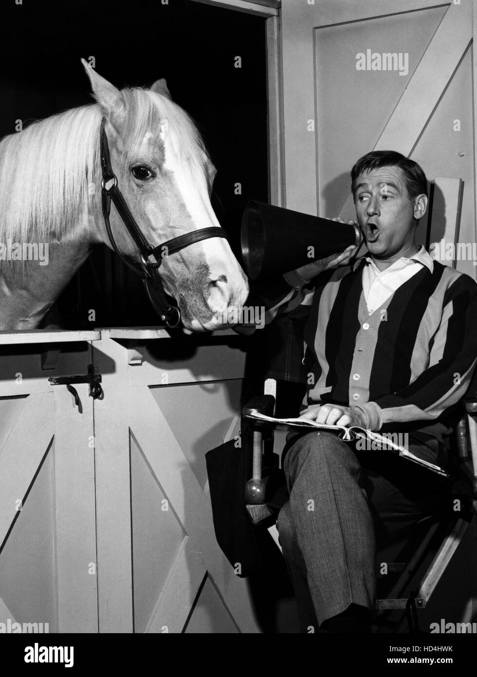 MISTER ED, Mister Ed, Alan Young, 196166 Stock Photo Alamy