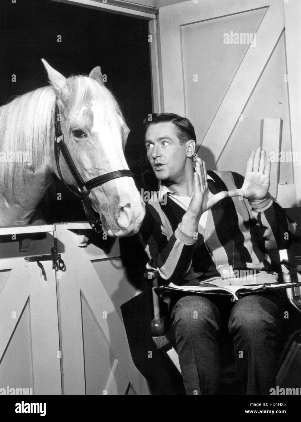 MISTER ED, (from left) Mister Ed, Alan Young, 196166 Stock Photo Alamy