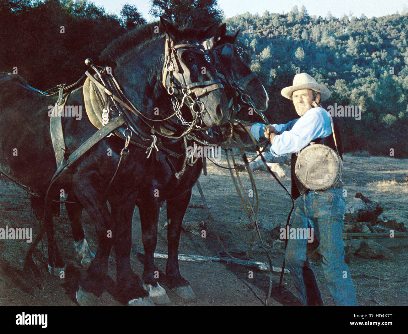 THE RED PONY Henry Fonda 1973 Stock Photo Alamy