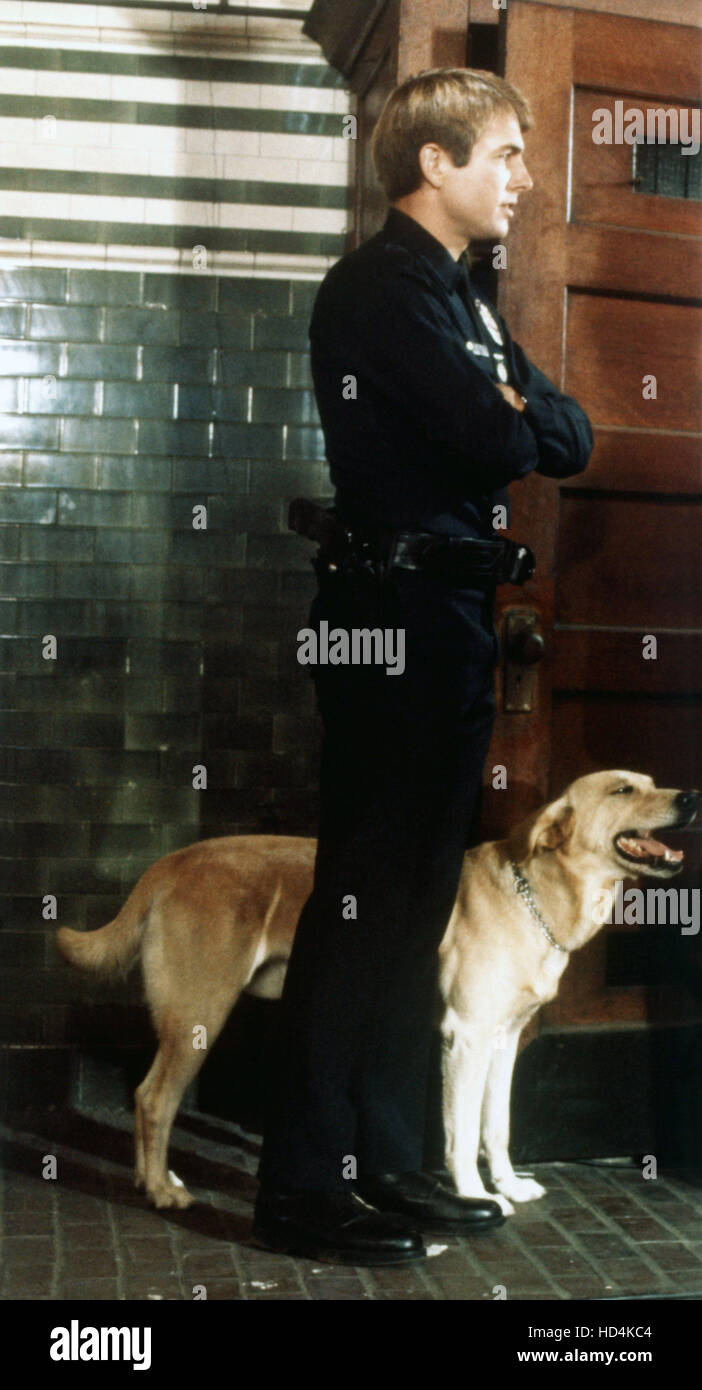 SAM, Mark Harmon, Sam the dog, 1978 Stock Photo Alamy