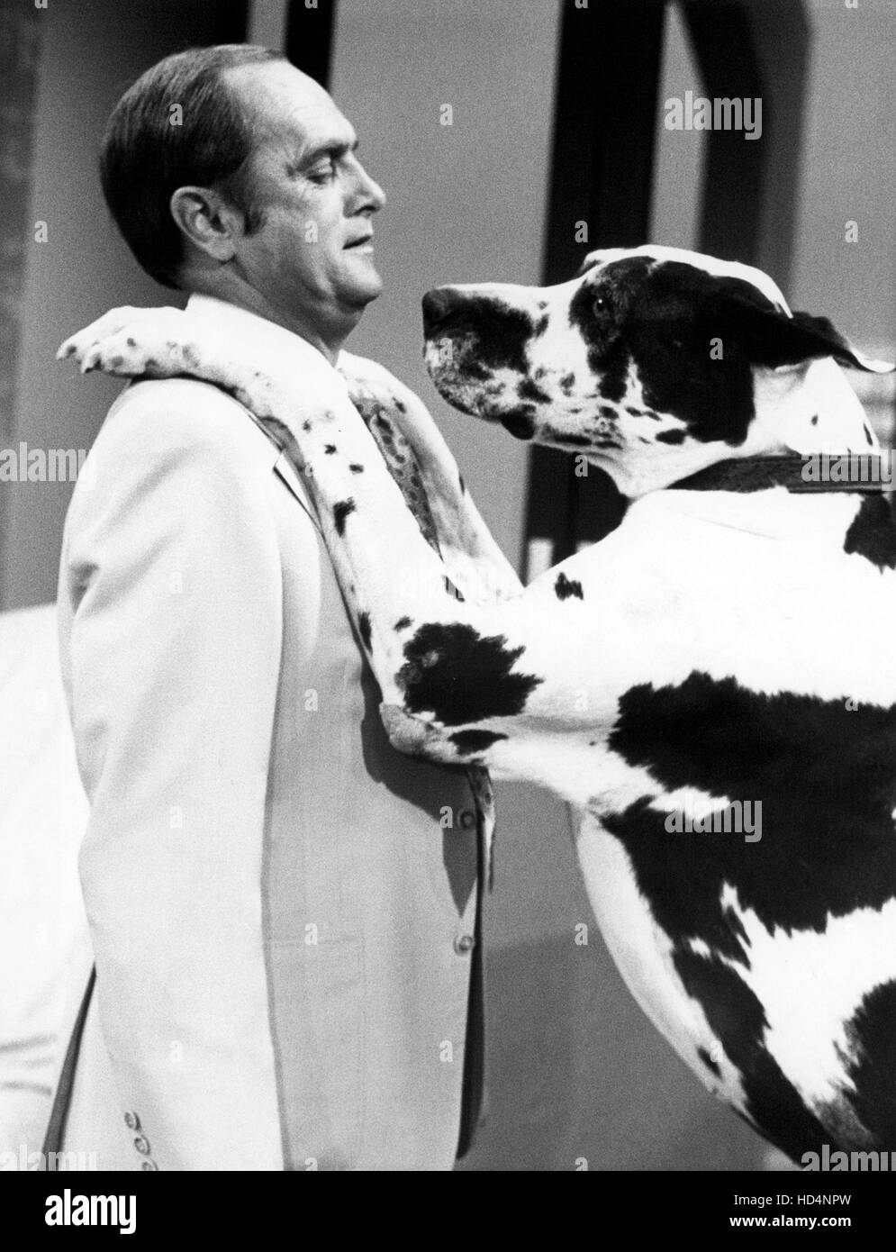 BOB NEWHART SHOW, Bob Newhart, 19721978 Stock Photo Alamy