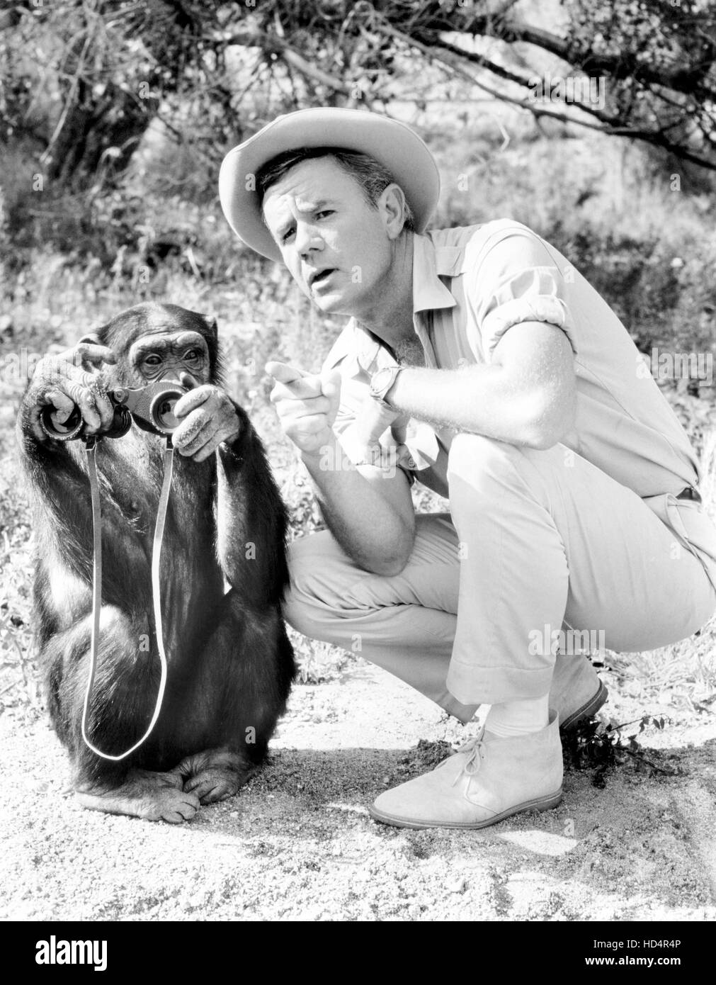 DAKTARI, Marshall Thompson with Judy the Chimp, 1966-69 Stock Photo - Alamy