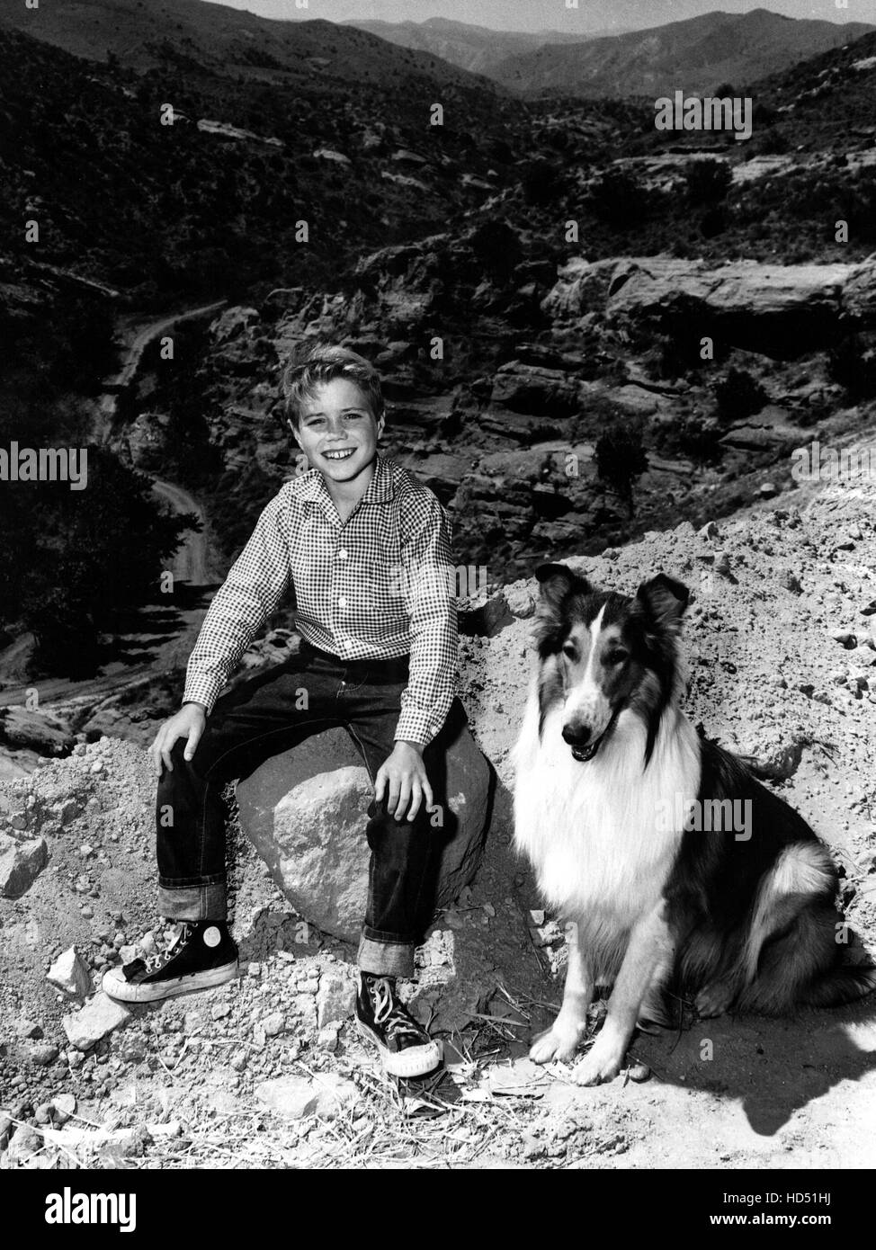 LASSIE, Jon Provost, Lassie, 19541974, 1962 episode Stock Photo Alamy
