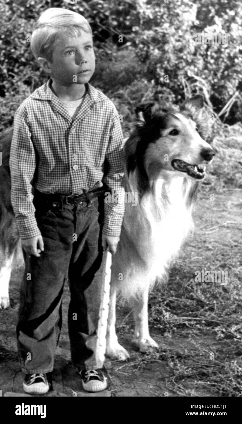 LASSIE, Jon Provost, Lassie, 19541974 [Season 4, 1958] Stock Photo Alamy