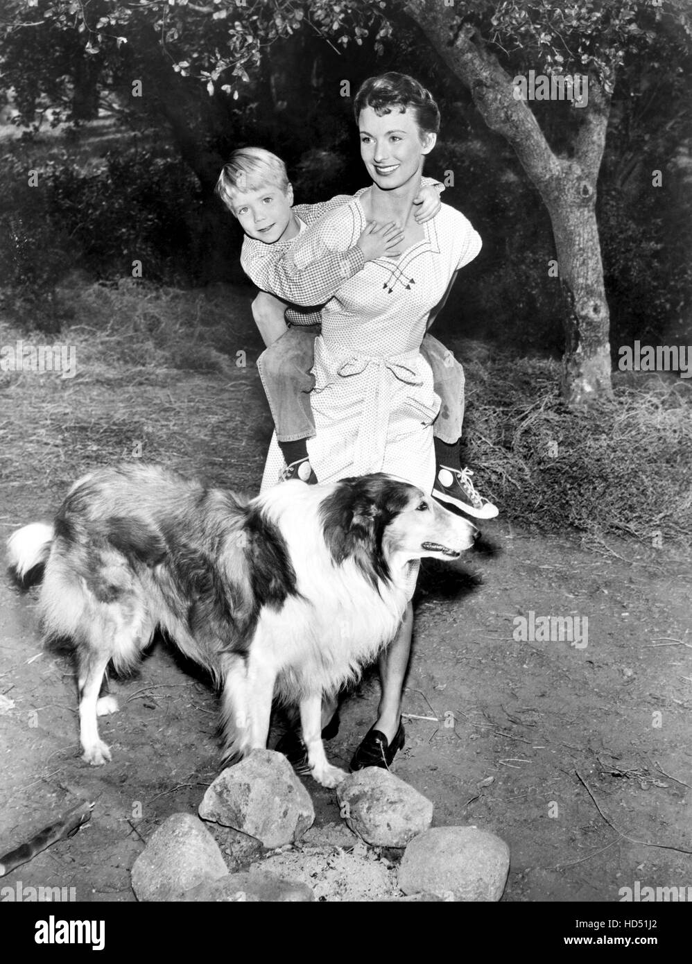 LASSIE, Jon Provost, Cloris Leachman, Lassie, (Season 4, aired December 1, 1957), 195474 Stock