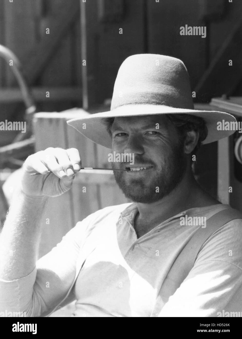 merlin olsen little house