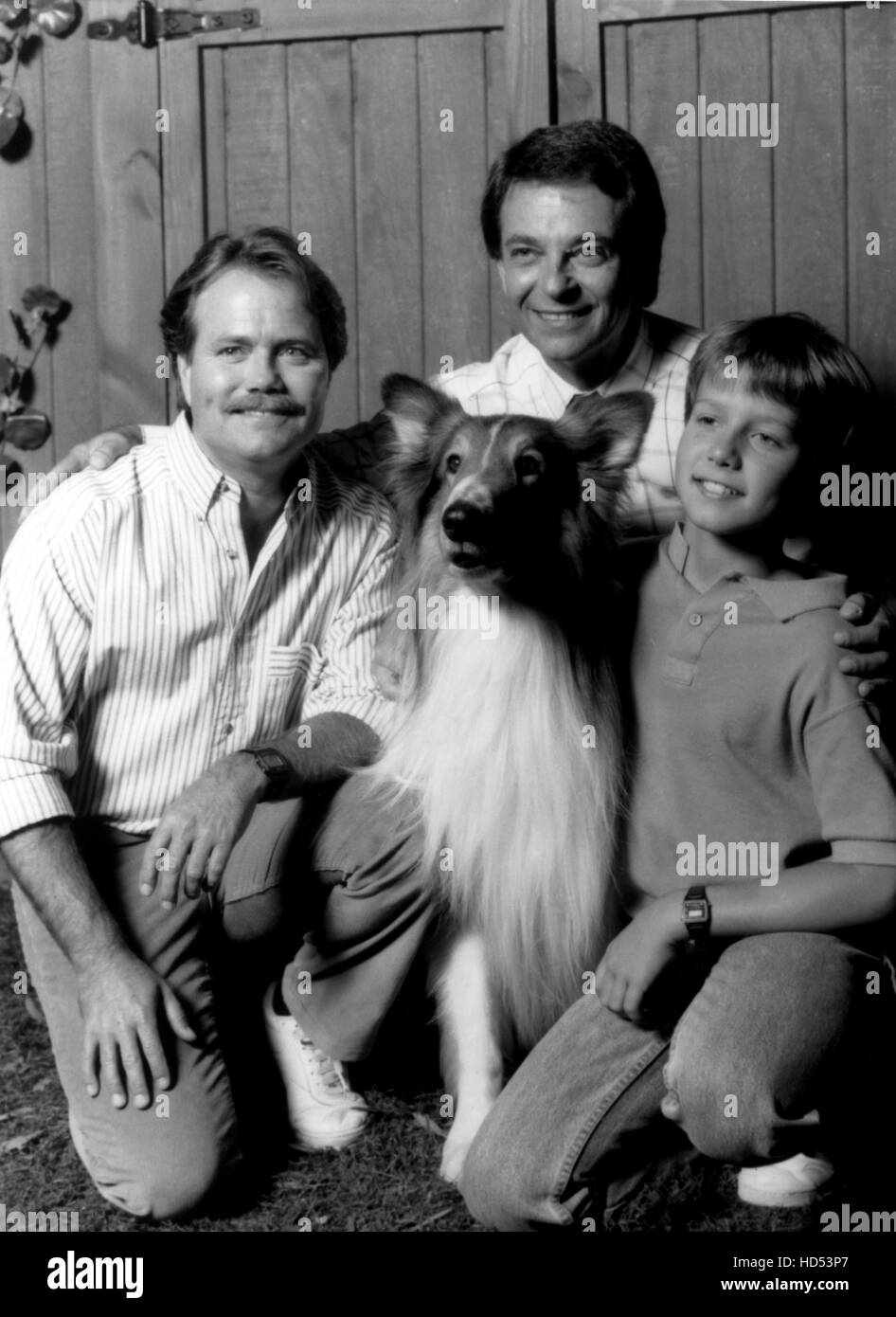 THE NEW LASSIE, (l-r): Jon Provost, Tommy Rettig, Will Nipper with Lassie  in episode 'The Computer Studio' aired 3/7/92 Season Stock Photo - Alamy