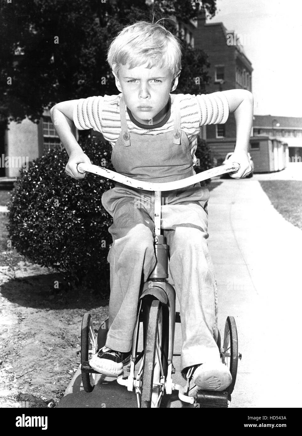Dennis the menace 1959 63 jay north stock photo alamy