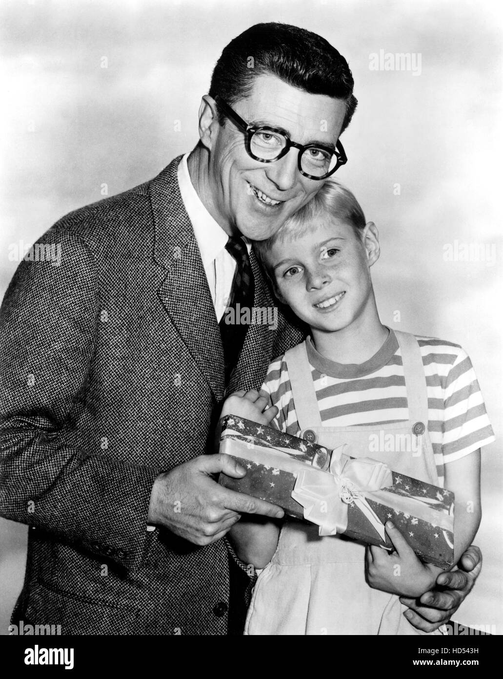 Jay North The Journey Of A Child Star To A Multifaceted Actor(01)