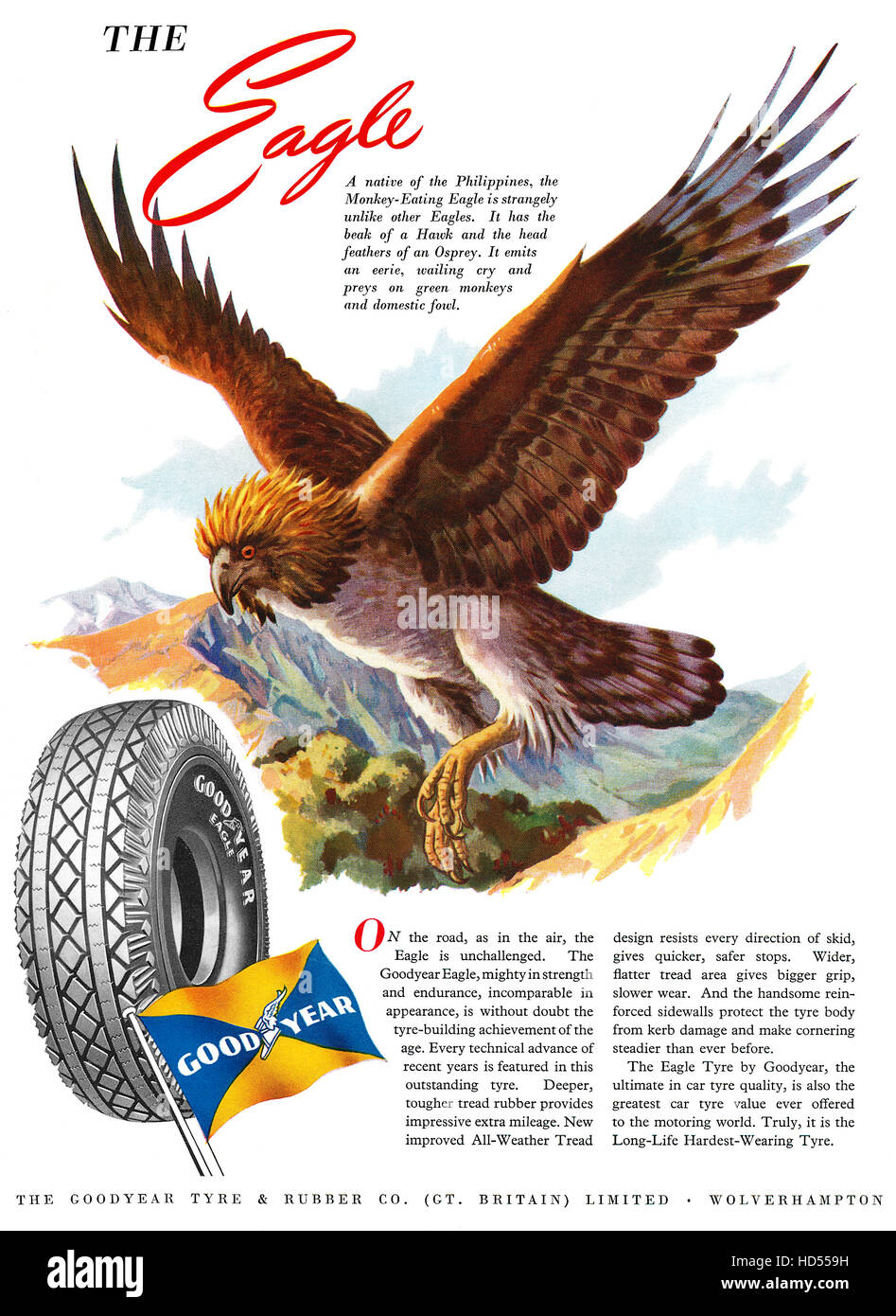 1950 British advertisement for Goodyear Tyres Stock Photo