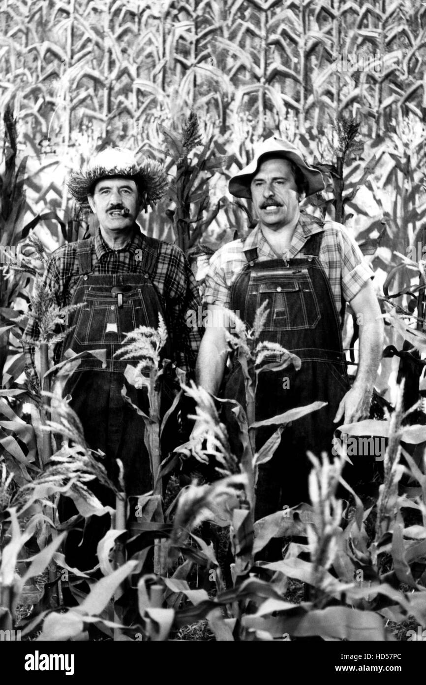 HEE HAW, Archie Campbell, Gordie Tapp, (1971), 1969-93 Stock Photo - Alamy