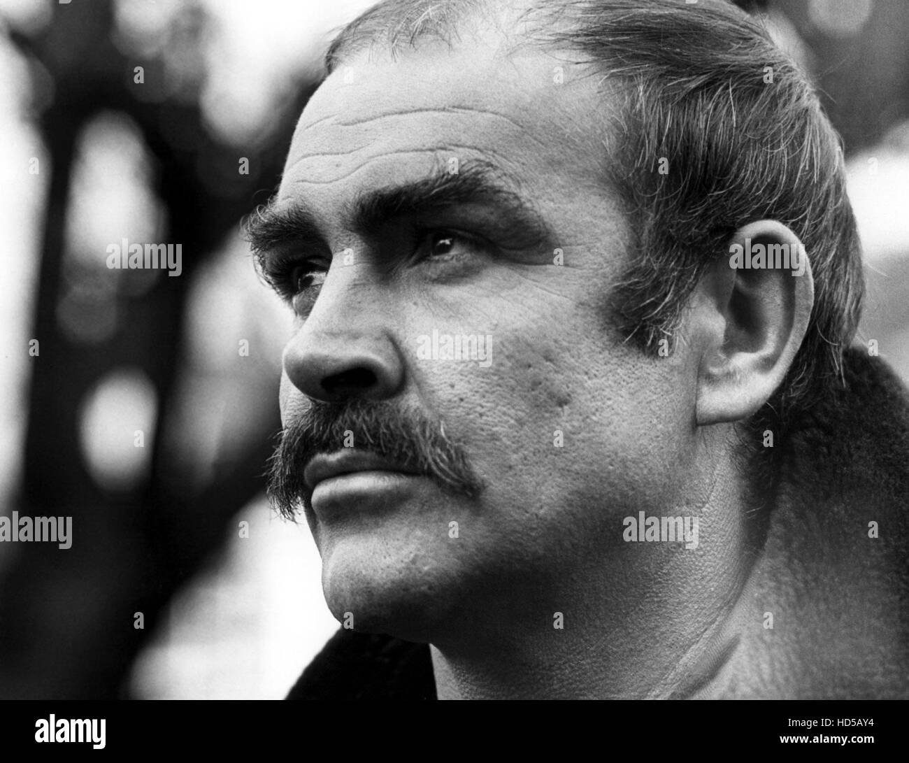 Sean Connery Mustache