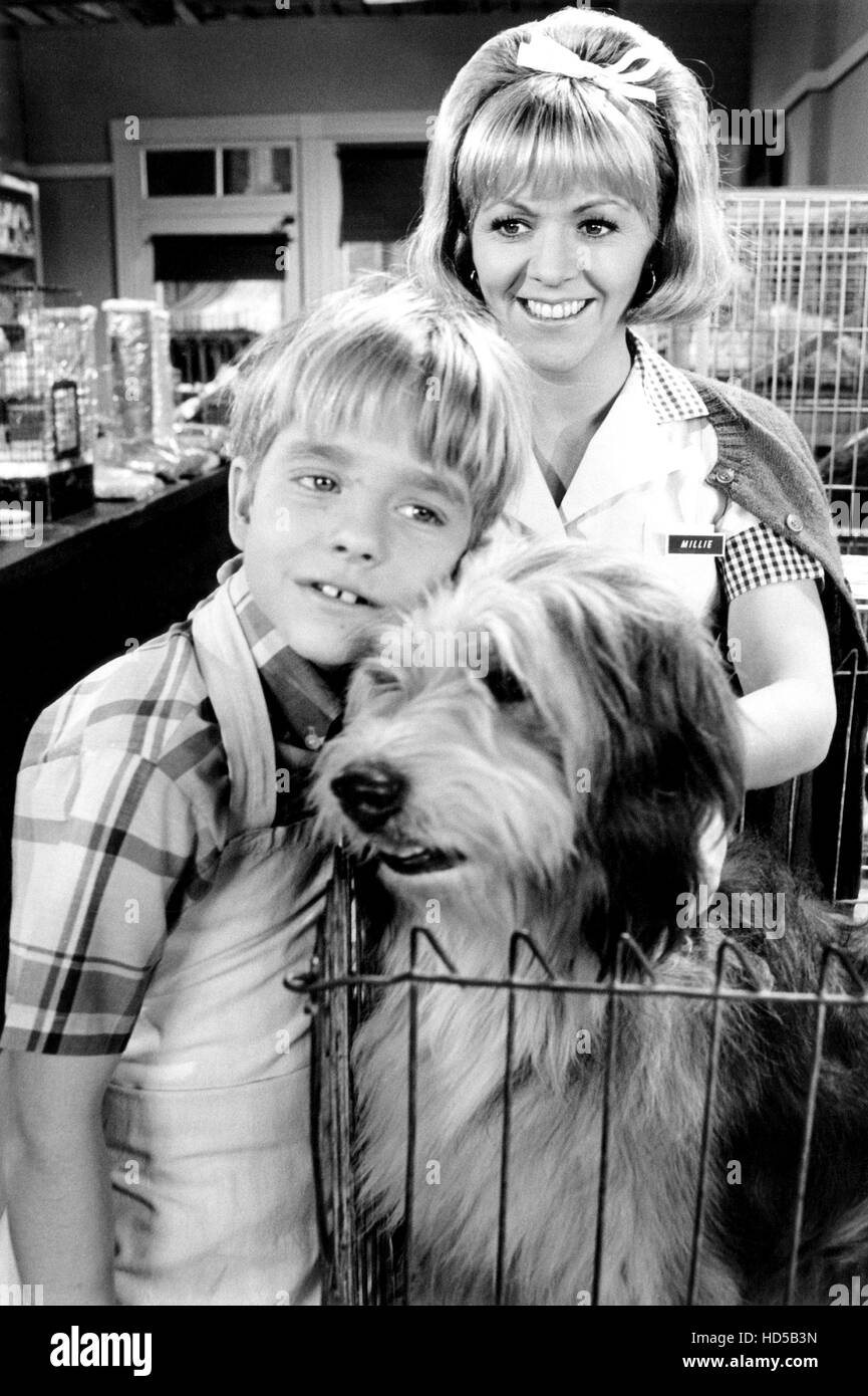 MAYBERRY R.F.D., Arlene Golonka, Buddy Foster, 196871 Stock Photo Alamy
