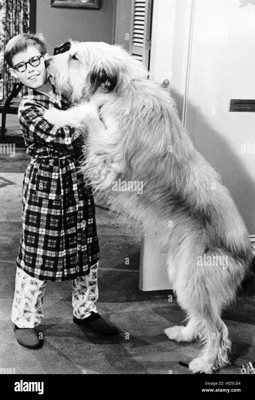 MY THREE SONS, Barry Livingston, Tramp, 1960 1972 Stock Photo Alamy