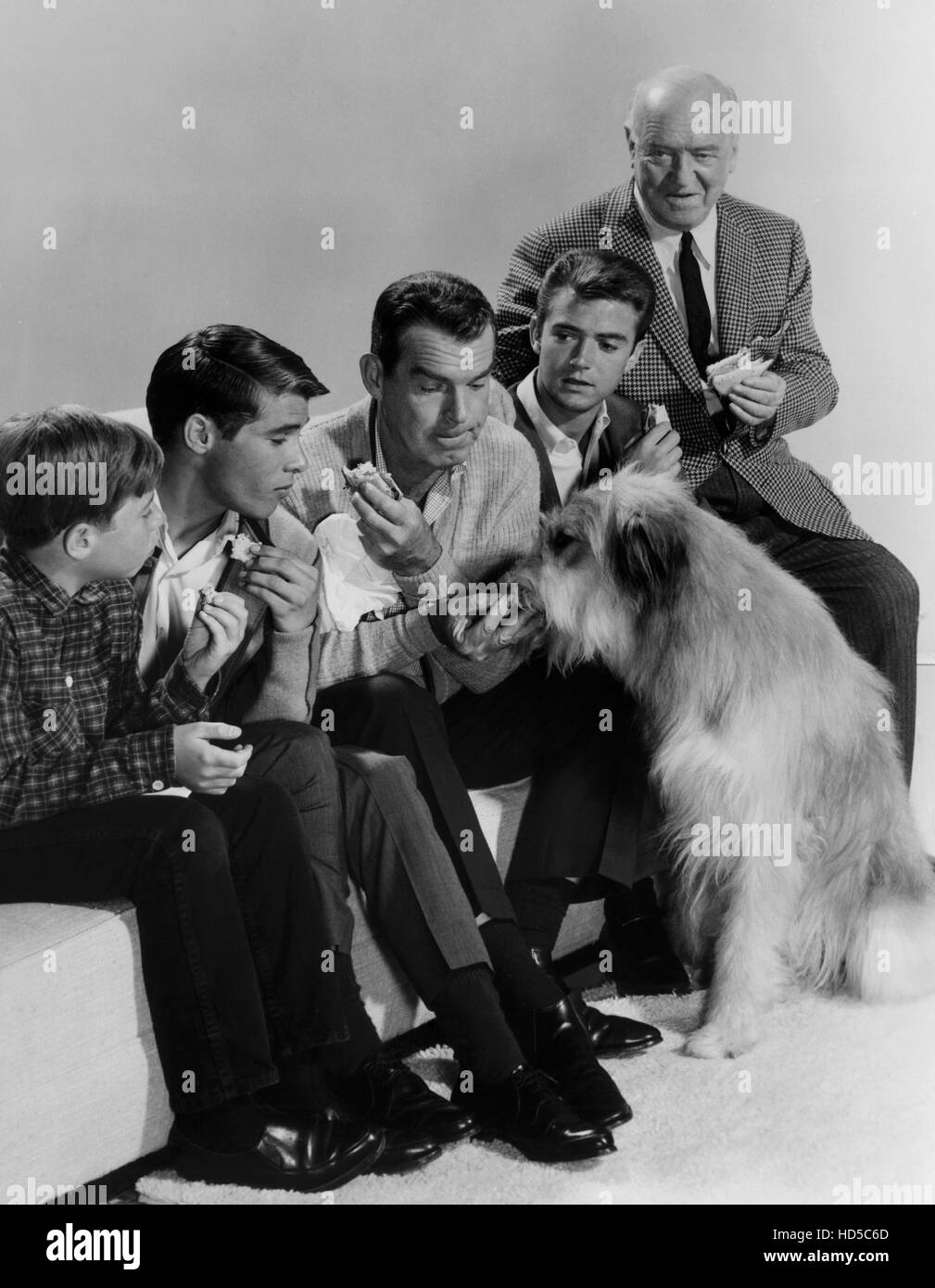 MY THREE SONS, (lr) Stanley Livingston, Don Grady, Fred MacMurray