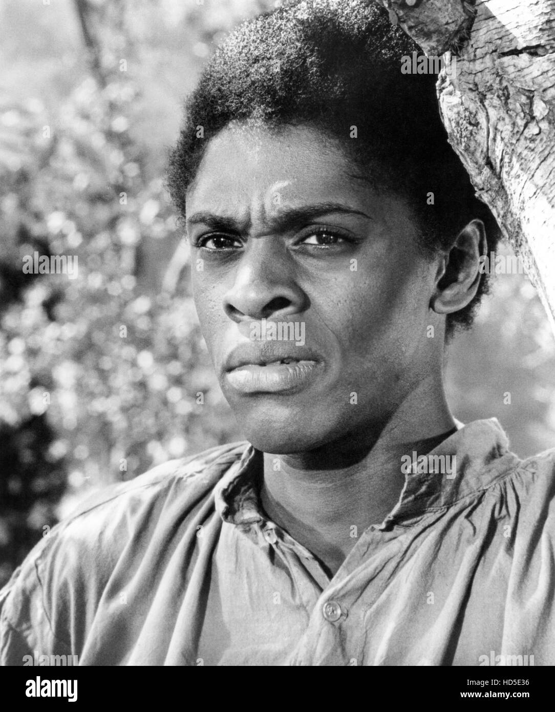 ROOTS, Lawrence Hilton-Jacobs, 1977 Stock Photo - Alamy