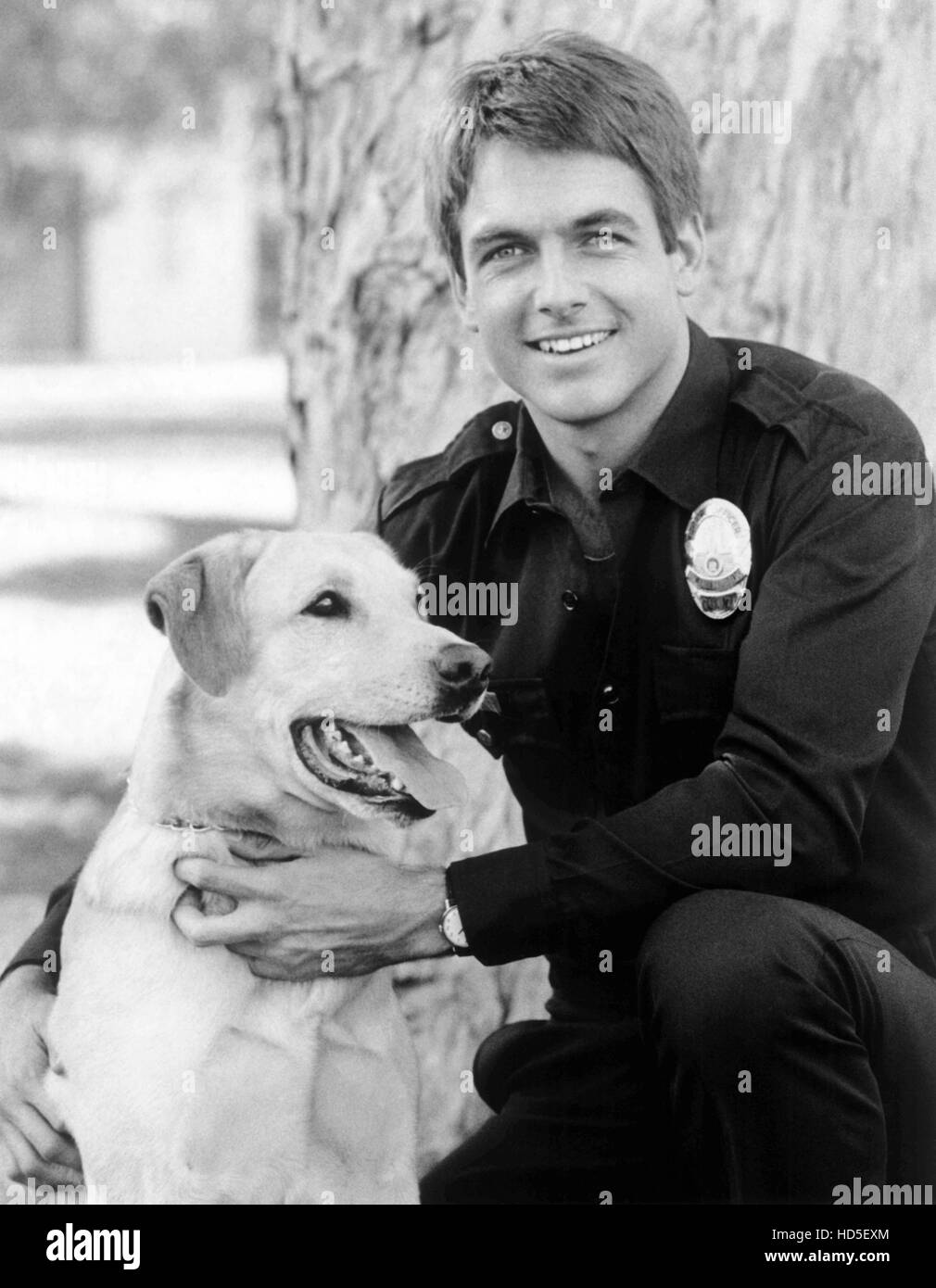 SAM, Mark Harmon, Sam the dog, 1978 Stock Photo Alamy