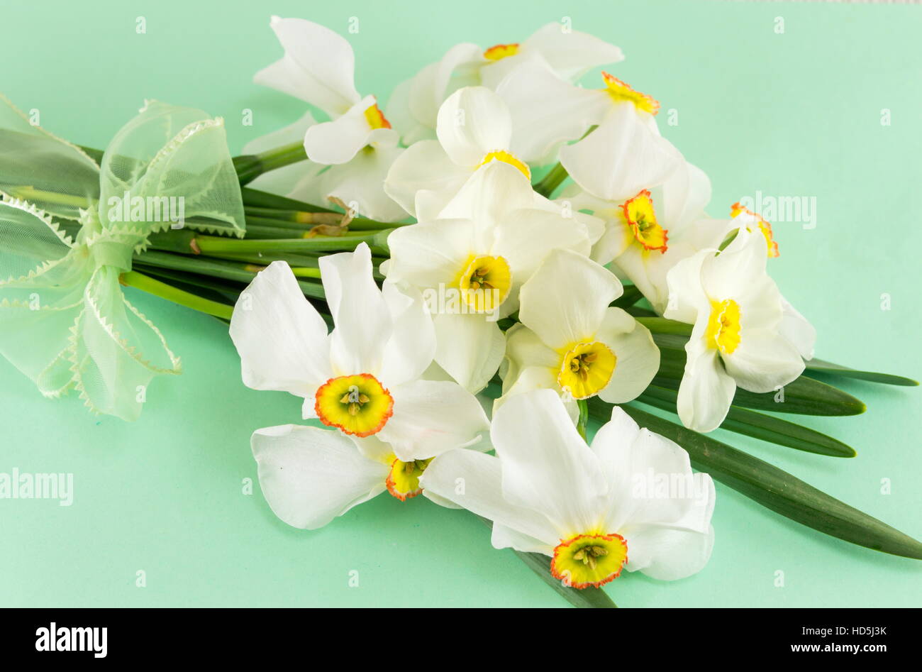 Narcissus flowers bouquet on green background. Spring time Stock Photo