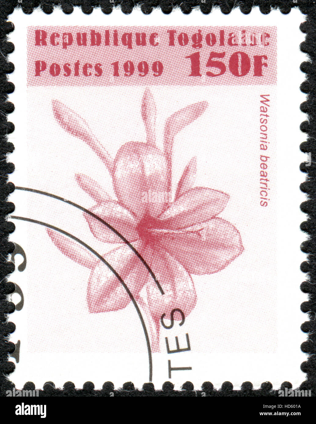 TOGO - CIRCA 1999: A stamp printed in Togo, shows the flower Watsonia beatricis, circa 1999 Stock Photo
