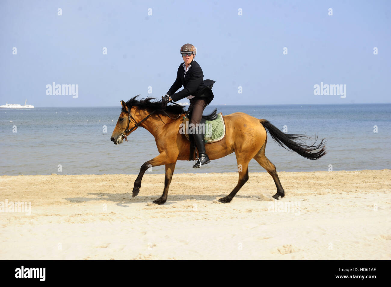 Celebrities at Usedom Cross Country 2016.  Featuring: Wolfgang Lippert Where: Usedom, Germany When: 11 Sep 2016 Stock Photo