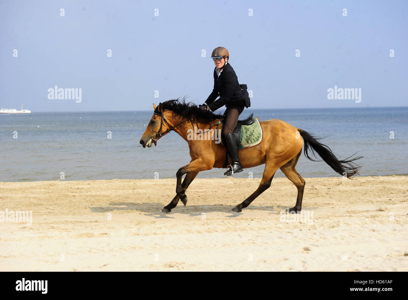 Celebrities at Usedom Cross Country 2016.  Featuring: Wolfgang Lippert Where: Usedom, Germany When: 11 Sep 2016 Stock Photo