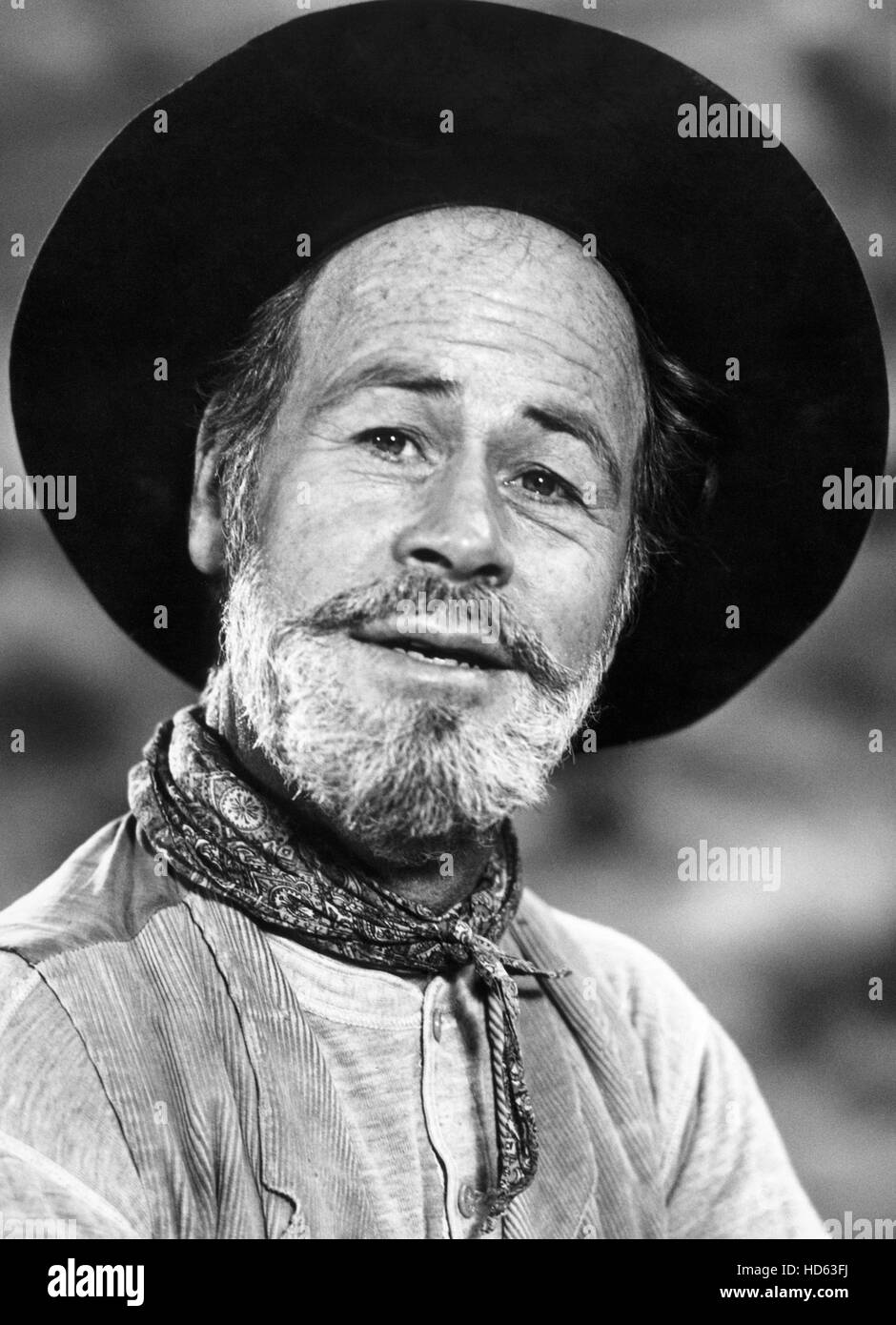 RAWHIDE, Paul Brinegar, 195965 Stock Photo Alamy