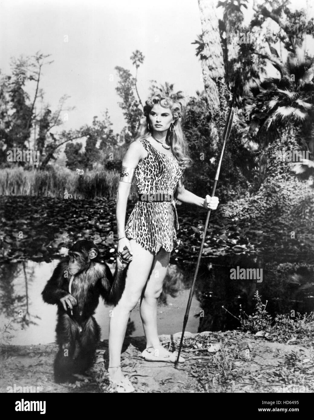 Sheena Queen Of The Jungle Costume