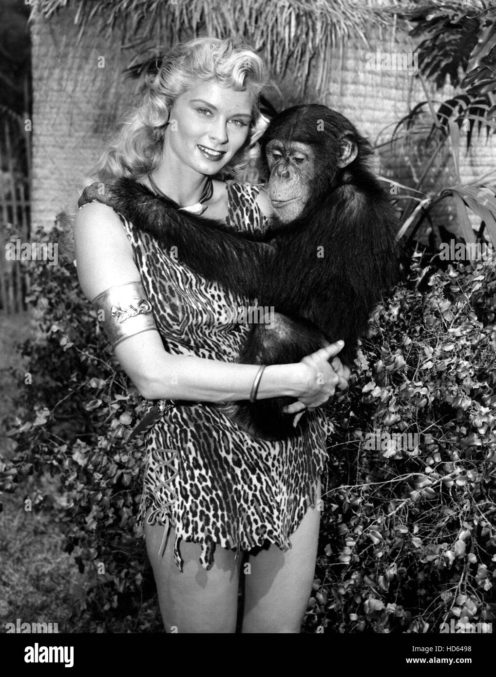 SHEENA QUEEN OF THE JUNGLE, Irish McCalla, 19551956 Stock Photo Alamy