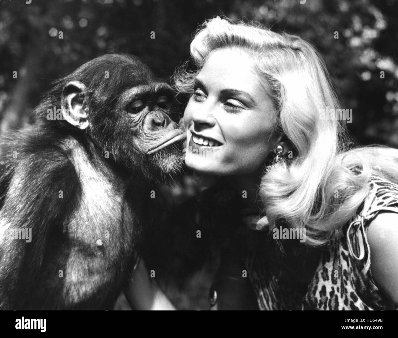 SHEENA QUEEN OF THE JUNGLE, Irish McCalla, 19551956 Stock Photo Alamy