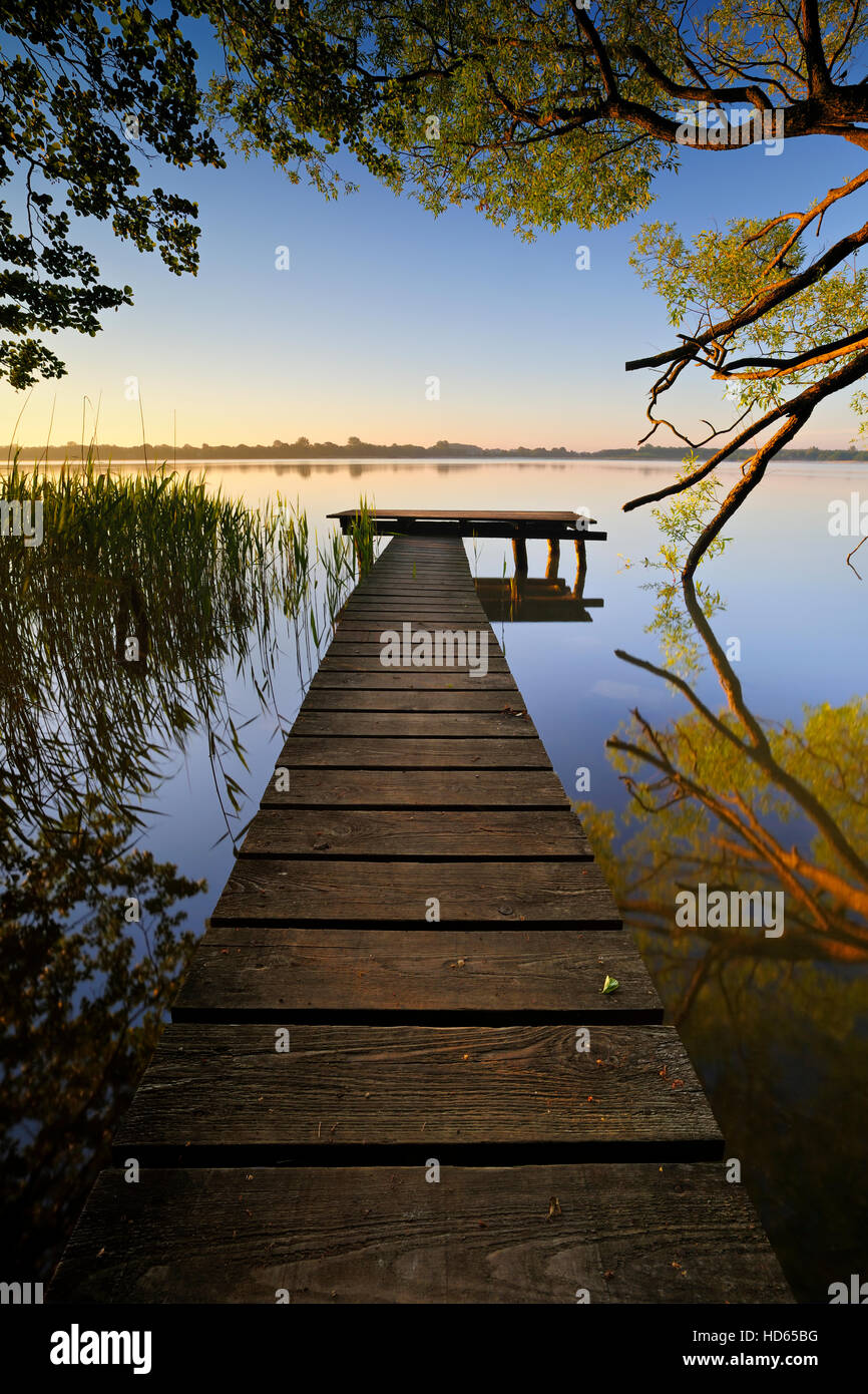 Small wooden pier going out into the water with exceptional tree in morning light, Lake Schaalsee, Mecklenburg-Western Pomerania Stock Photo