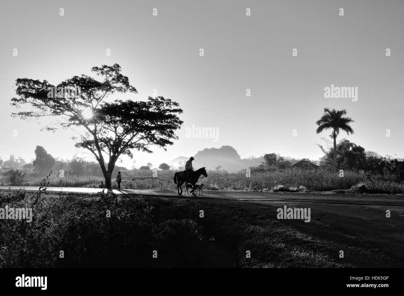 Man on horseback, sunrise, Viñales, Cuba Stock Photo