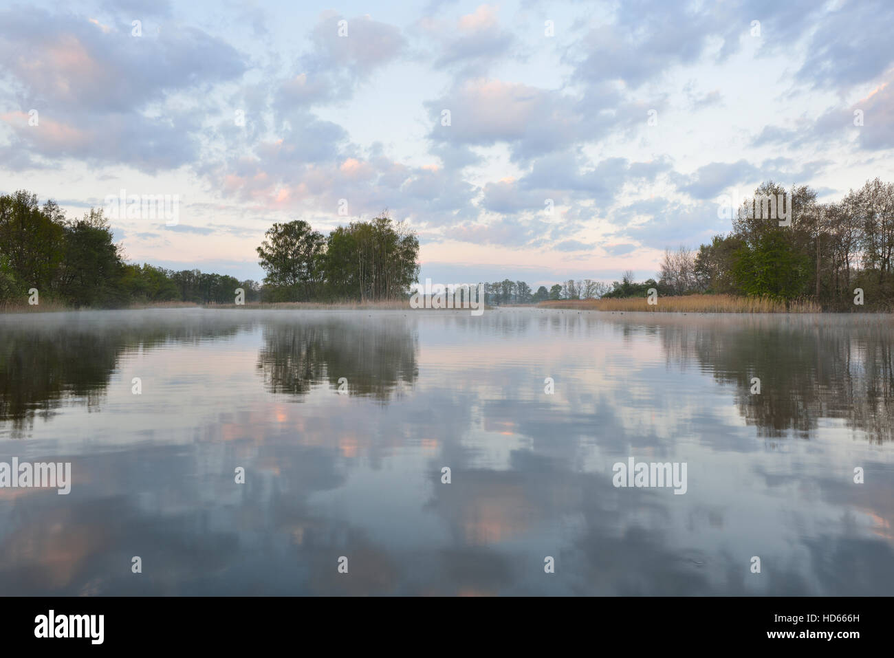 Carp pond, hazy morning atmosphere, water reflection, Upper Lusatian Heath and Pond Region, Guttau, Saxony, Germany Stock Photo
