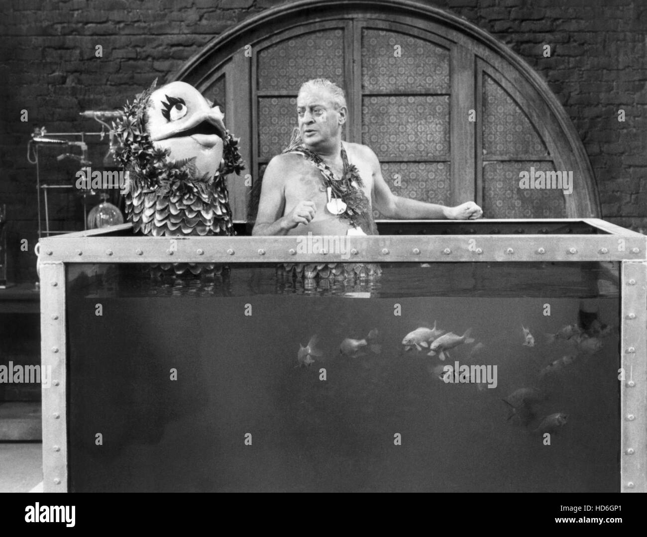 RODNEY DANGERFIELD EXPOSED, Rodney Dangerfield, 1985 Stock Photo - Alamy