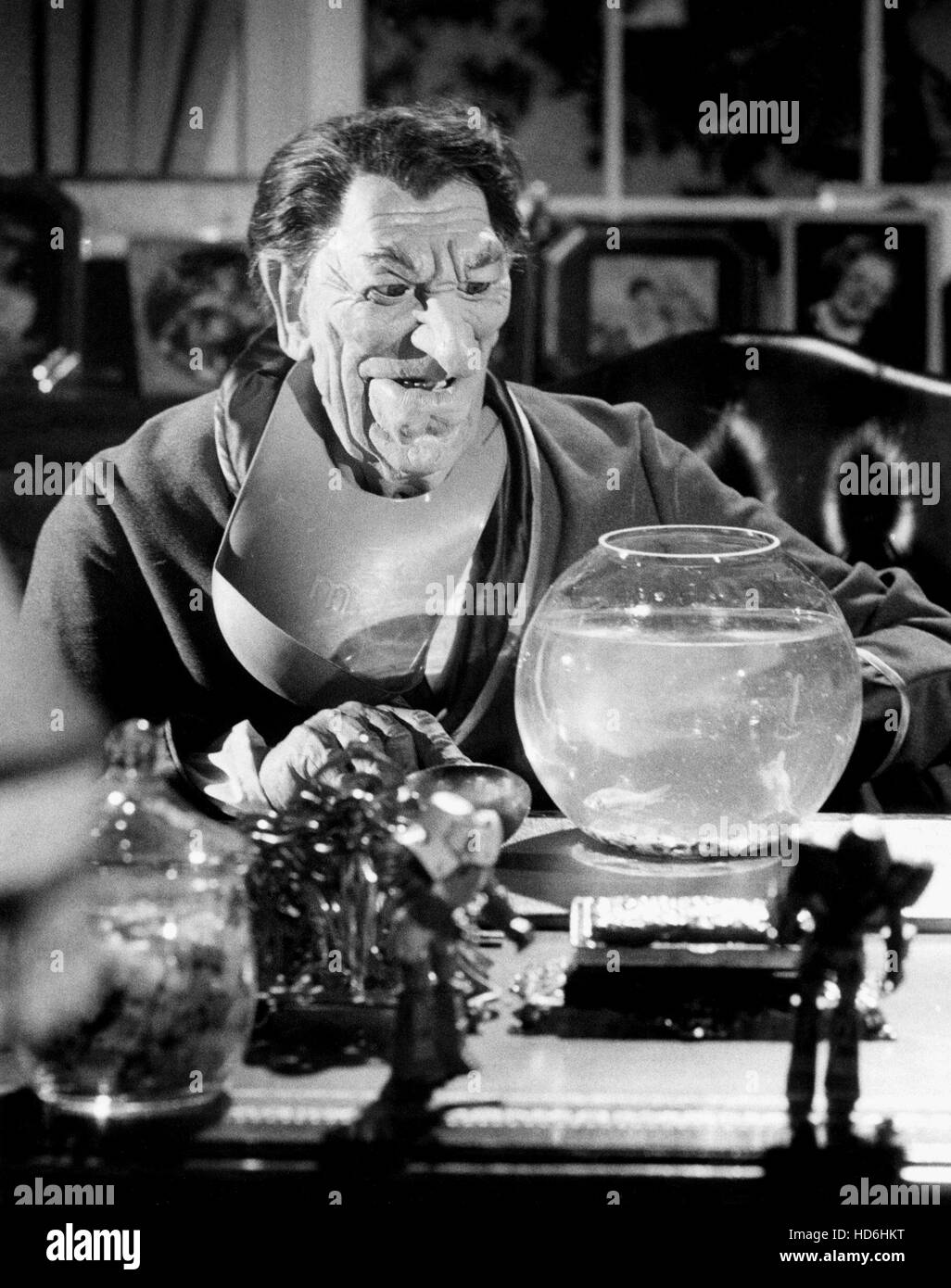 SPITTING IMAGE DOWN AND OUT AT THE WHITE HOUSE, 1986 Stock Photo Alamy