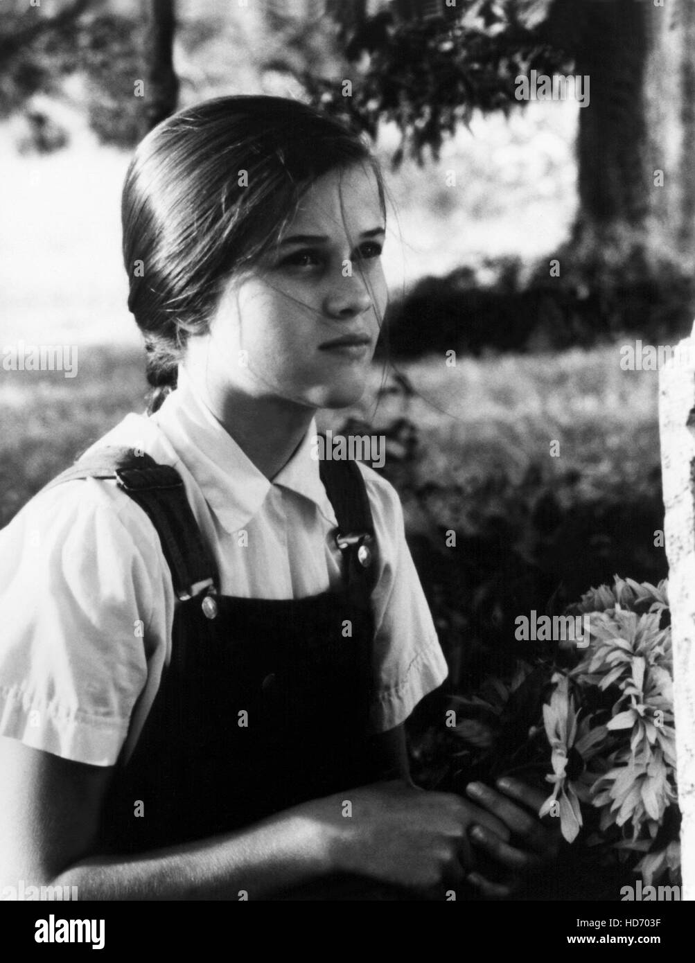 WILDFLOWER, Reese Witherspoon, 1991 Stock Photo Alamy