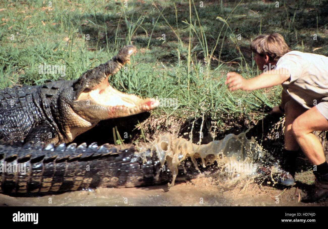 CROCODILE HUNTER, Steve Irwin, 2001-2006, © Animal Planet / Courtesy:  Everett Collection Stock Photo - Alamy