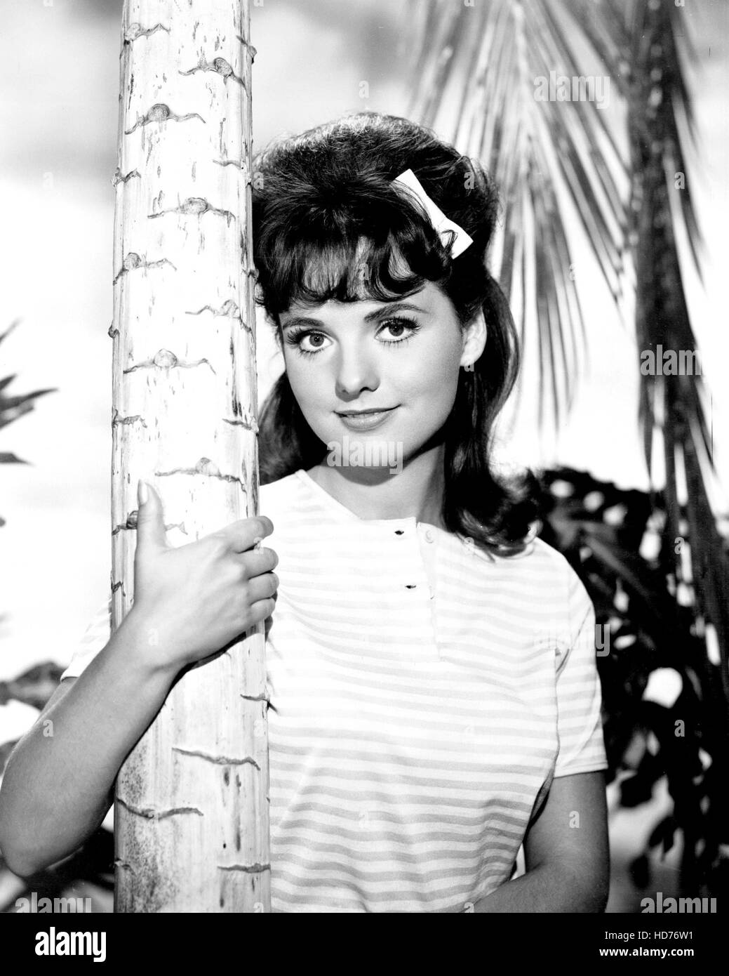 dawn-wells-1960s-hi-res-stock-photography-and-images-alamy